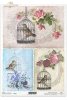 ptak, ptaki, ptaszek, ptaszki, ptaszek w klatce, klatka, klatka dla ptaków, retro, pastelowe kolory, tło, R211, bird, cage, bird cages, retro, style, pastel colors, beautiful, background , pájaro en una jaula, jaulas de pájaros